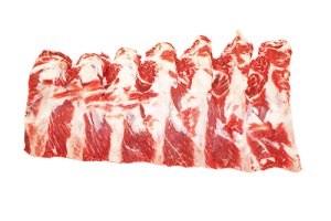 BACK-RIB